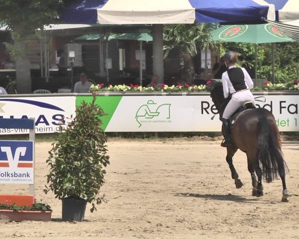 Reitturnier Viernheim 2019