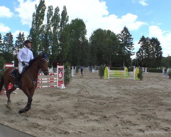 Reitturnier Leverkusen - Teitscheider Hof 2019