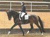 dressage horse Sunrise Dream (Bavarian, 2011, from Christ)