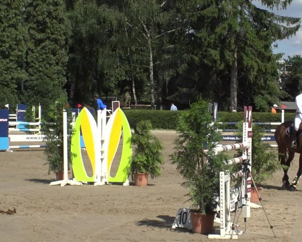 Reitturnier Leverkusen - Teitscheider Hof 2019