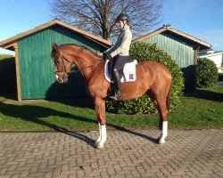 dressage horse Tyler W (Oldenburg, 2011, from Tokio)