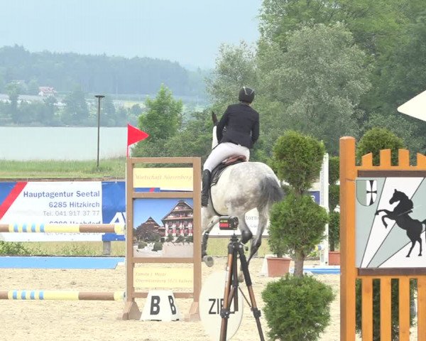 Reitturnier Hitzkirch 2019