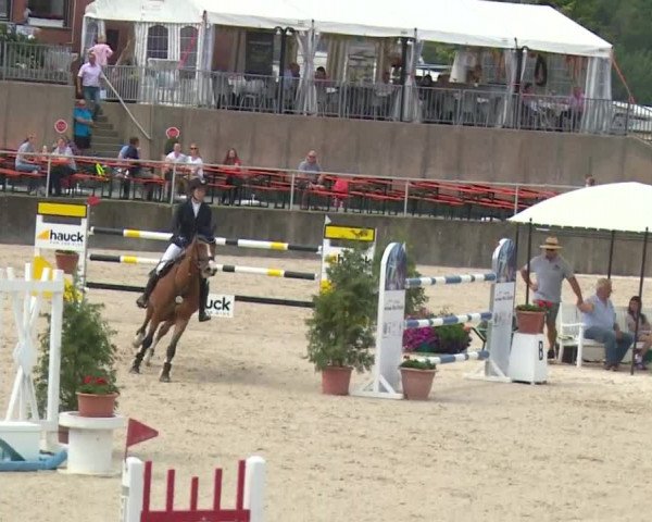 Reitturnier Küps/Ofr. 2019