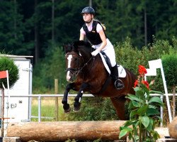 jumper Ramius (New Forest Pony, 1995, from Anydale Ron)