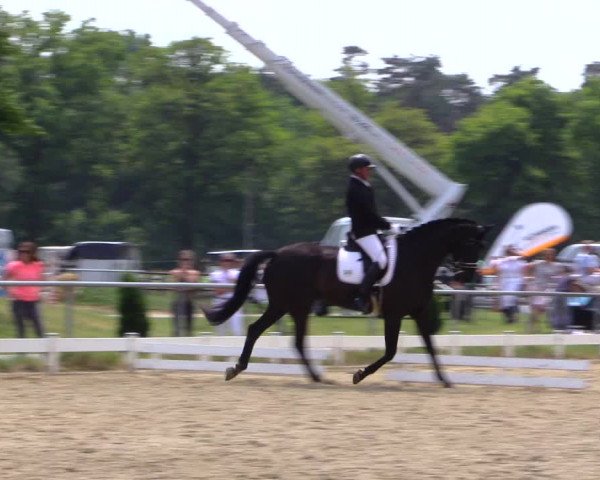 Reitturnier Coesfeld 2019
