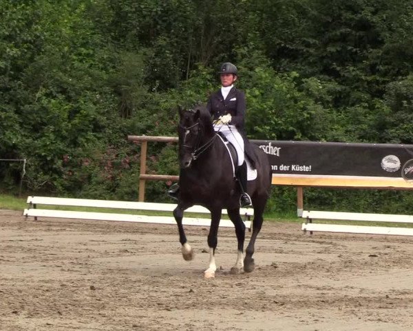 Reitturnier Hanerau-Hademarschen 2019