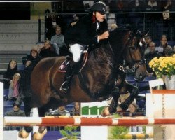 jumper Kingston (KWPN (Royal Dutch Sporthorse), 1992, from Burggraaf)