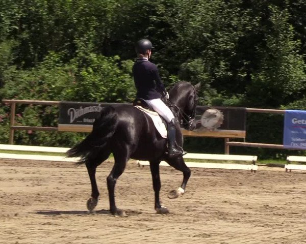 Reitturnier Hanerau-Hademarschen 2019