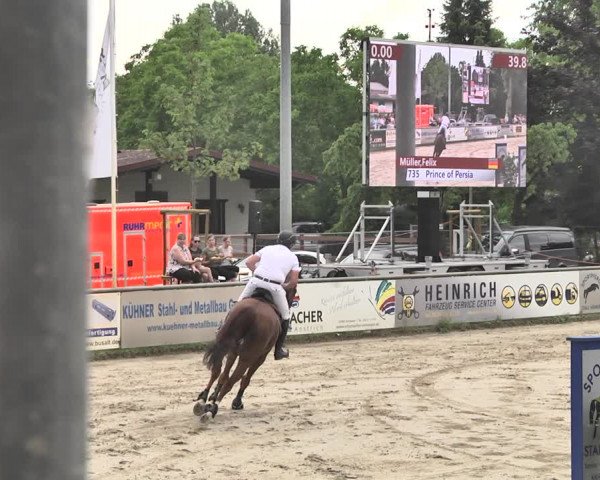 Reitturnier Viernheim 2019