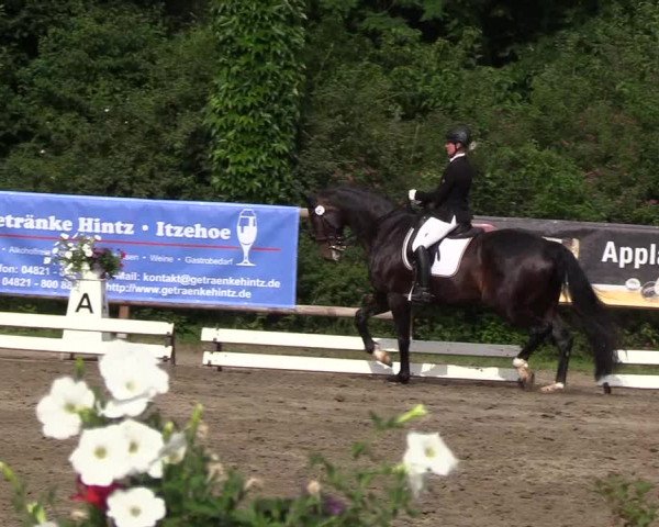 Reitturnier Hanerau-Hademarschen 2019