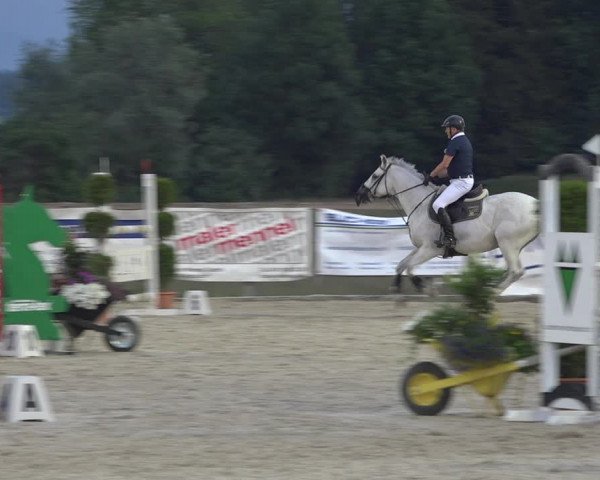 Reitturnier Hitzkirch 2019