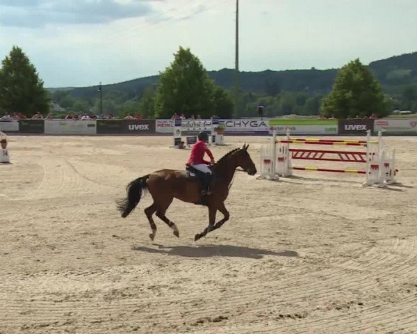 Reitturnier Küps/Ofr. 2019