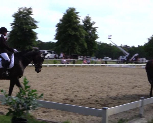 Reitturnier Coesfeld 2019
