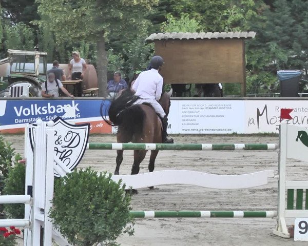 Reitturnier Viernheim 2019