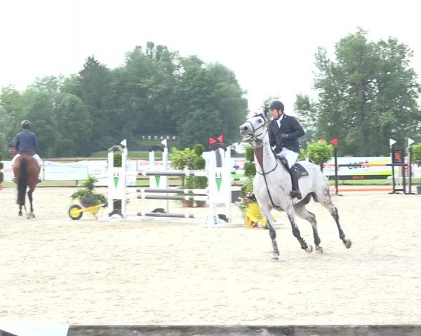 Reitturnier Hitzkirch 2019
