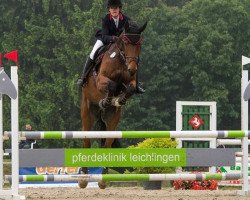 jumper Captain Hook 22 (KWPN (Royal Dutch Sporthorse), 2007, from Pierrot)