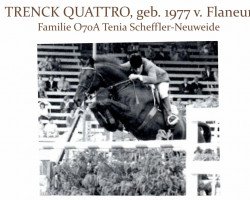 Pferd Trenck Quattro (Trakehner, 1977, von Flaneur)