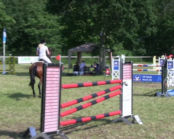 Reitturnier Stadum 2019