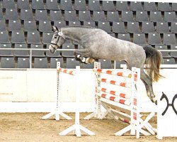 stallion Diatello (Hanoverian, 2014, from Favorit Ask)