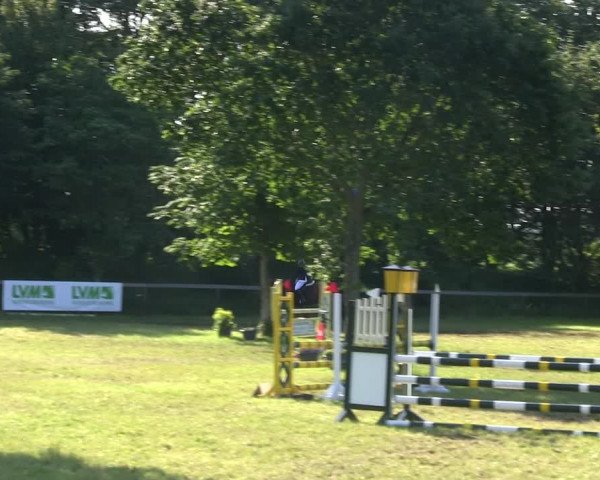 Reitturnier Stadum 2019