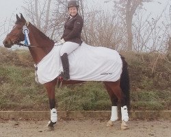 dressage horse Lady Lavinja L (Westphalian, 2009, from Life is Life)