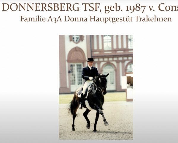 Pferd Donnersberg TSF (Trakehner, 1987, von Consul)
