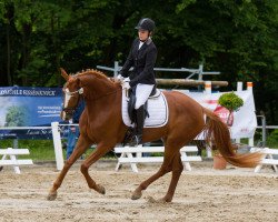 broodmare Lady Valentina (Hanoverian, 2011, from Lord de Hus)