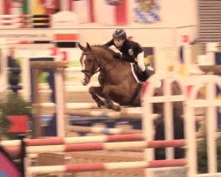 jumper Bünteeichen-Monja (German Riding Pony, 2007, from Quasi Quattro)