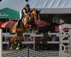 jumper Ennet Bandit (Hanoverian, 2005, from Escudo I)