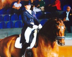 dressage horse Chico 32 (KWPN (Royal Dutch Sporthorse), 2007, from Glock's Johnson Tn)