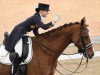 dressage horse Simply Red 8 (Oldenburg show jumper, 2004, from Burggraaf)