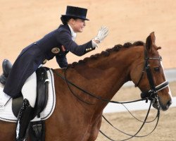 dressage horse Simply Red 8 (Oldenburg show jumper, 2004, from Burggraaf)