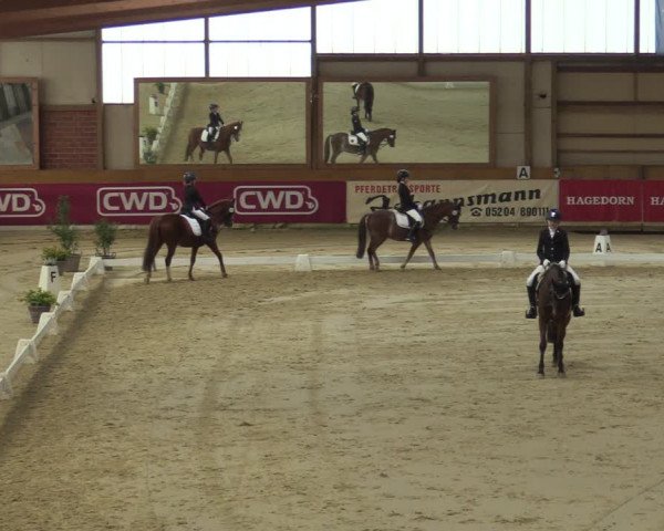 Steinhagen Classics 2021