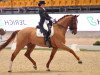 dressage horse Quantico (Oldenburg, 1999, from Quattro B)