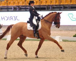 dressage horse Quantico (Oldenburg, 1999, from Quattro B)