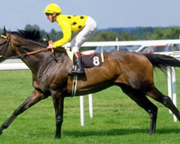 stallion Reference Point xx (Thoroughbred, 1984, from Mill Reef xx)