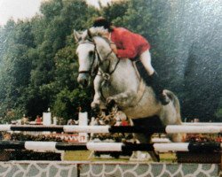 broodmare Holey Pasadena (Trakehner, 1978, from Primo)