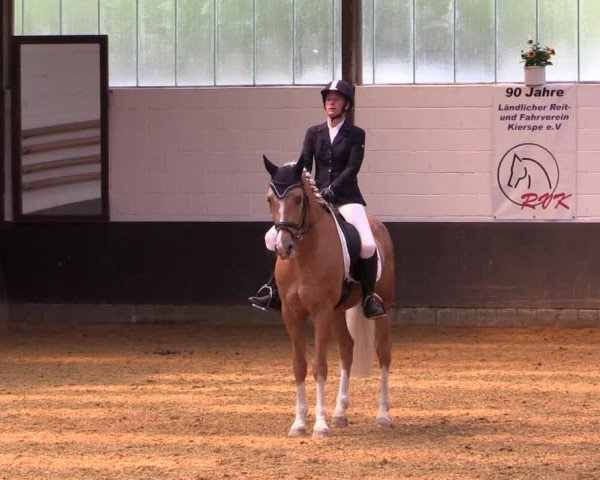 Kiersper Reitertage 2019