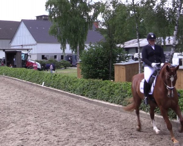 Kiersper Reitertage 2019