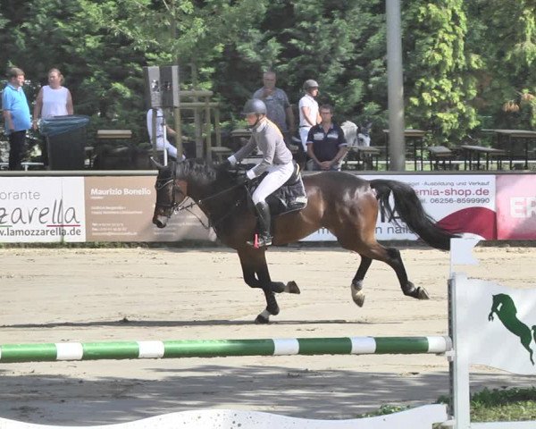 Reitturnier Viernheim 2019