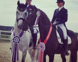 dressage horse Dynamite S (KWPN (Royal Dutch Sporthorse), 2008, from Sydney)