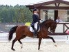 dressage horse Rubinio Royal (Westphalian, 2005, from Rubin Cortes OLD)