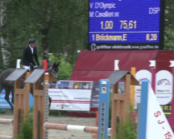 Reitturnier Schwerte-Gut Kückshausen 2019