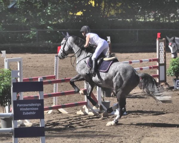 Reitturnier Wiesloch 2019