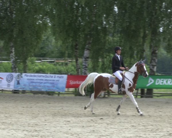 Reitturnier Schwerte-Gut Kückshausen 2019