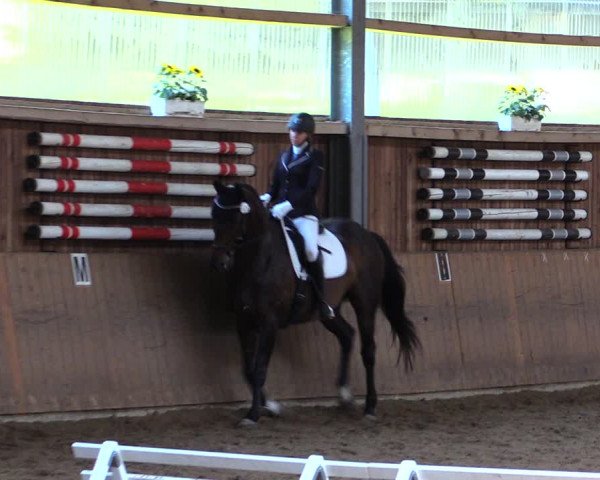 Reitturnier Schwerte-Gut Kückshausen 2019