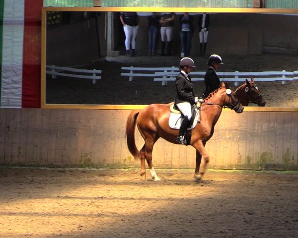 Reitturnier Schwerte-Gut Kückshausen 2019