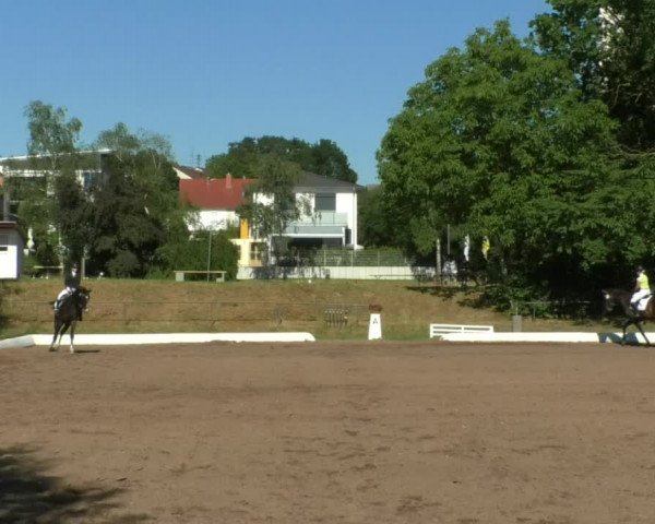 Reitturnier Wiesloch 2019