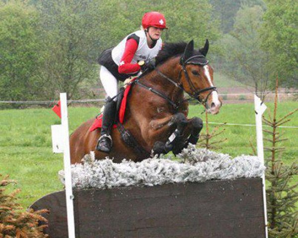 horse Söderhof's Rasant (Trakehner, 1999, from Buddenbrock)