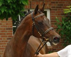 Zuchtstute Berceuse II (Trakehner, 1992, von Caprimond)